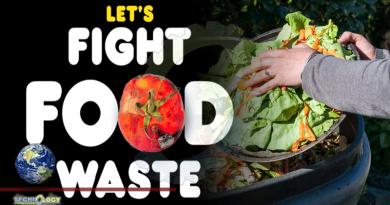 Companies Make Money From Fighting Food Waste