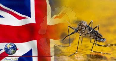 Malaria Vaccine Could Be Ready By 2024, Speculates Top UK Scientist