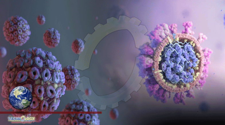 New Variant Of Coronavirus Discovered