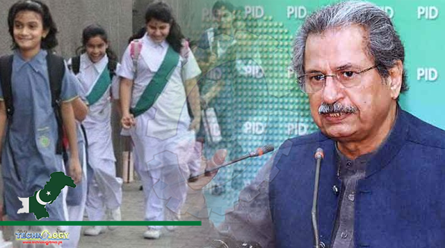 Not a holiday, revise courses and do your homework, Shafqat Mahmood tells students