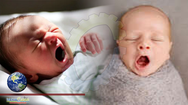 Study Reveals How A Baby’s First Breath Triggers Vital Brain Changes