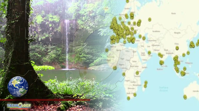#TECH: Bored at home? Let's listen to relaxing sounds of forests from around the world