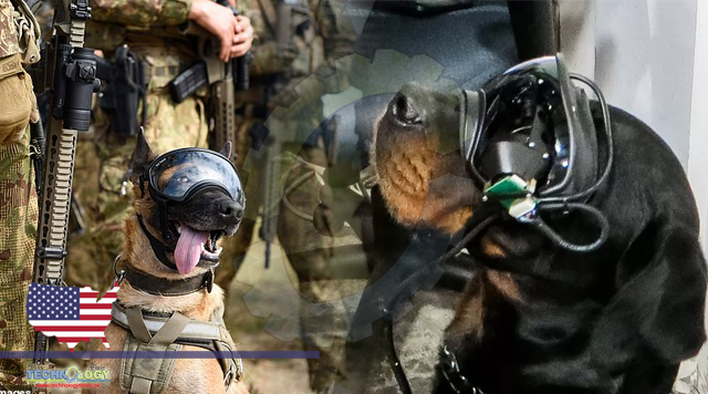 The US Army plans to inculcate AR for canines
