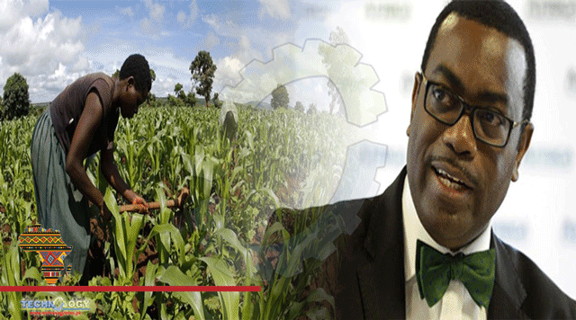 Africa-Is-The-Worlds-Next-Business-Frontier-Says-Afdbs-Adesina