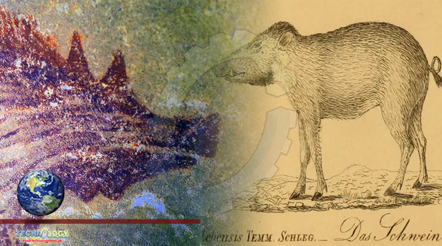 Cave painting of a wild pig might be oldest art found in the world