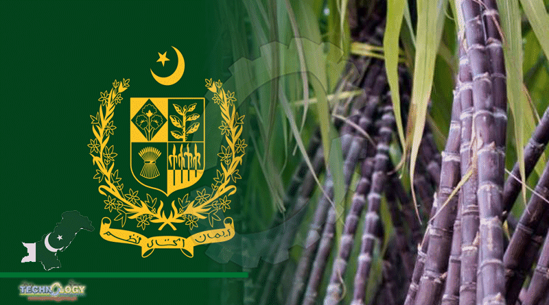 Farmers To Avail Rs 5000/Acr Subsidy On Sugarcane Cultivation