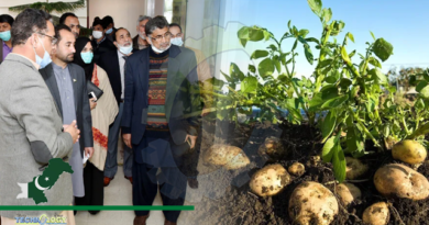 PARC Provides 50,000 Potato Tubers To Agriculture Department Of GB