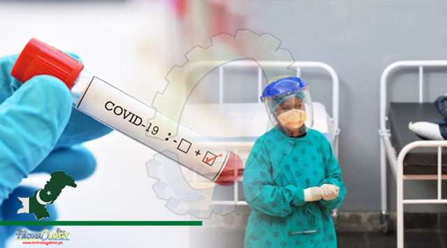 Pakistan’s confirmed coronavirus cases top 500,000