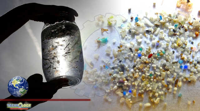 Study Finds Microplastics in Human Placentas