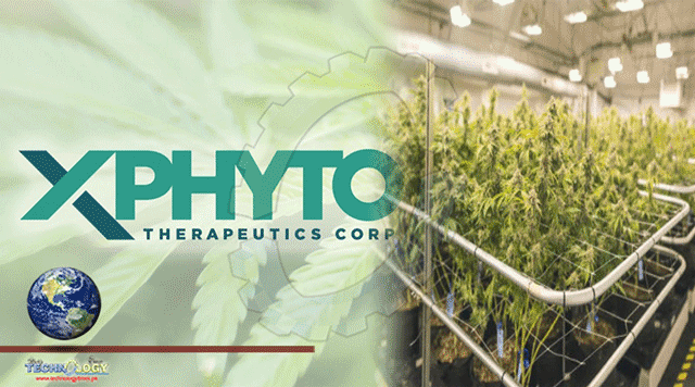 Xphyto-Announces-Business-Strategy-And-Milestones-For-2021