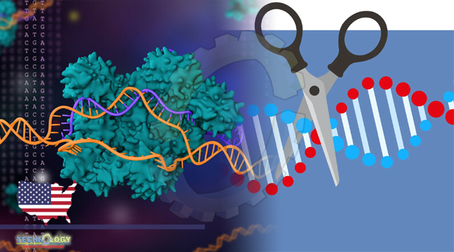 After the Nobel, what next for Crispr gene-editing therapies?