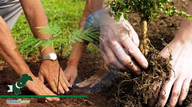 Adviser to Prime Minister on Climate Change Malik Amin Aslam Thursday urged the nation to actively participate in the ongoing countrywide spring tree plantation drive and become part of government's 'Clean and Green Pakistan' project to make the initiative a success