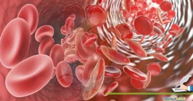 An-Overview-Of-Thalassemia