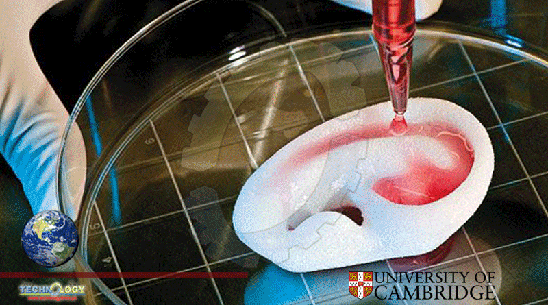 Lab-Grown Tissue To Repair Human Organs In World