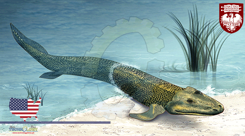New Clues Emerge On How Early Tetrapods Learned To Live & Eat