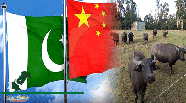 Pak-China-Business-Matching-Event-In-Buffalo-Industry-For-Boosting