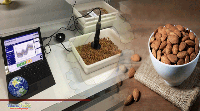 Technology-Enables-RealTime-Detection-Of-Bitter-Almonds