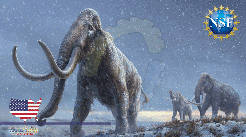 World’s Oldest DNA Reveals How Ice Age Mammoths Evolved