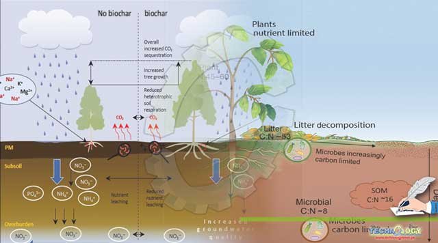 Properties-Of-Biochar-And-Its-Effects-On-Soil