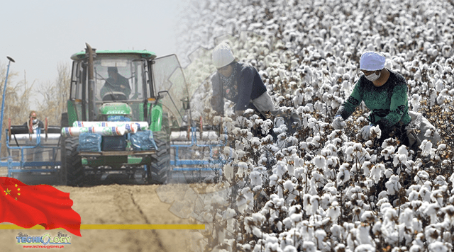 Advanced irrigation tech improves cotton production in Xinjiang