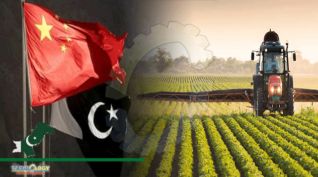 Pak-China-Agricultural-Cooperation-Strengthens-People-To-People-Bond