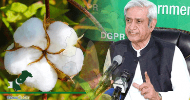 Steps Taken To Revive And Promote Cotton