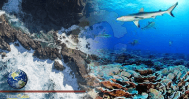 'Underwater CCTV' to protect Pitcairn Islands ocean sanctuary