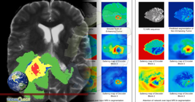 Visual interpretability in 3D brain tumor segmentation network.