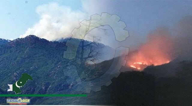 Around 90pc fires in Margalla Hills work of villagers: IWMB