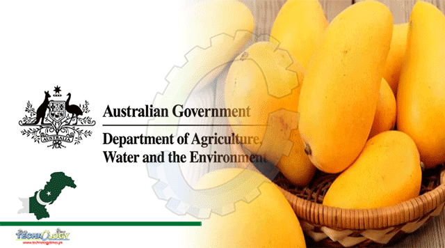 Australia-Approves-Two-Pakistan-Mango-Facilities