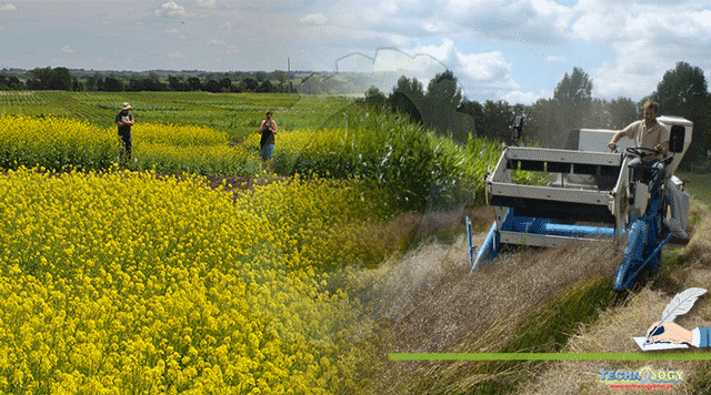 Benefits-Of-Camelina-Production-Under-Climate-Change-Scenarios