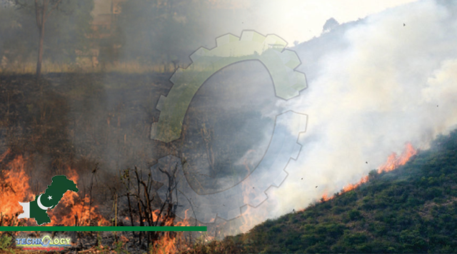 Civic authorities in a fix as fires continue to ravage Margallas