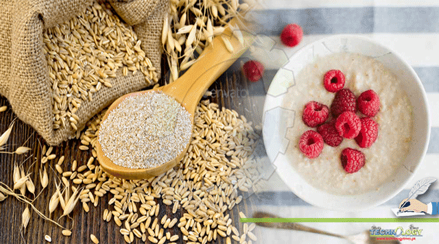 Effects-Of-Maize-And-Oat-Bran-Supplementation-And-Sensorial-Properties-Of-Bread