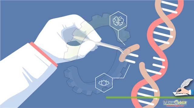 Genetic-engineering-and-human-cloning-via-biotechnology