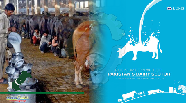 Government to introduce fundamental change in dairy sector