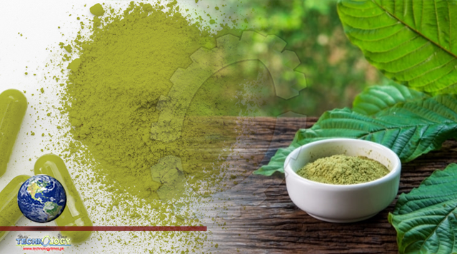 Kratom Benefits: Does It Work, Anxiety, Pain & More 2021 -