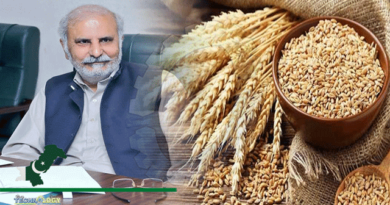 Punjab-Achieves-Record-20.9M-Metric-Ton-Wheat-Target-Agri-Minister