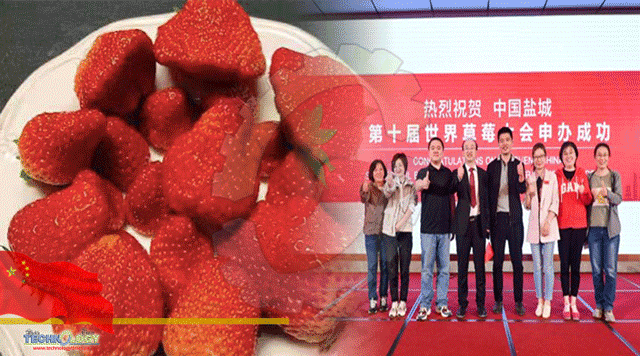Tenth-Global-Strawberry-Symposium-Will-Be-Held-In-Yancheng-China