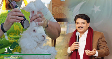 Angora-Rabbit-Scheme-Launched-In-GB-To-Improve-Peoples-Income