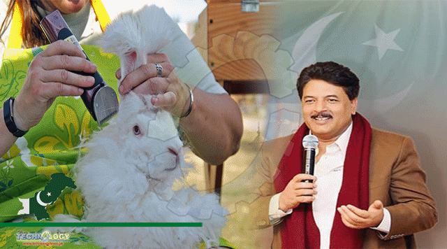 Angora-Rabbit-Scheme-Launched-In-GB-To-Improve-Peoples-Income