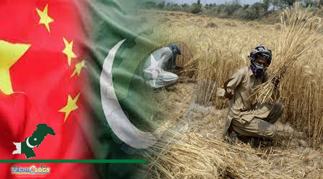 KP governor for Sino-Pak collaboration to address food security challenge