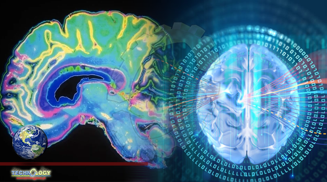 New cloud technologies expand brain sciences
