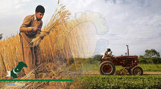Pakistan-Pins-Hopes-On-Agriculture,-Housing-For-Sustainable-Growth