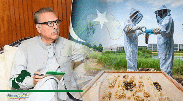 President-Underlines-Need-To-Increase-Honey-Production-In-Pakistan