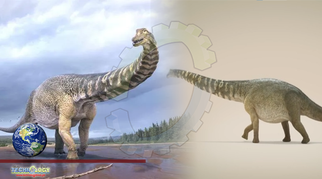 Scientists discover Australia's largest dinosaur that was as long as a basketball court