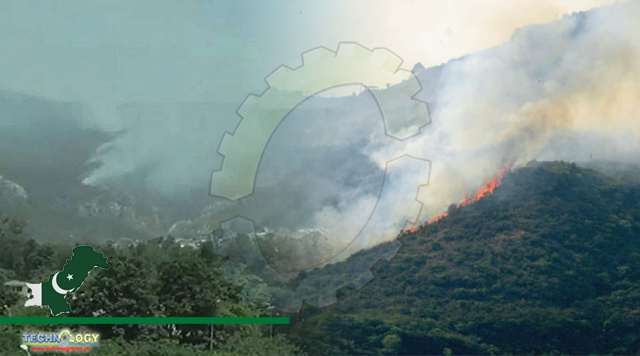 Senate body asks CDA, IWMB to jointly check fires on Margalla Hills