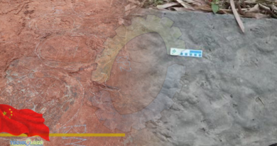 Tiniest dinosaur footprint discovered in Southwest China's 'dinosaur home'
