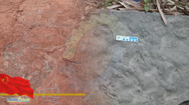 Tiniest dinosaur footprint discovered in Southwest China's 'dinosaur home'