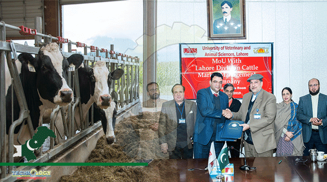 UVAS-Signs-MoU-With-Pakistan-Dairy-Association-To-Train-Investors