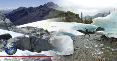 Glaciers Are Disappearing and So Too Might the Microbial Ecosystems Within